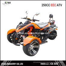 200cc CEE Trike ATV Kawasaki Quad Hot Sale en Allemagne 250cc Trike ATV avec EEC approuvé